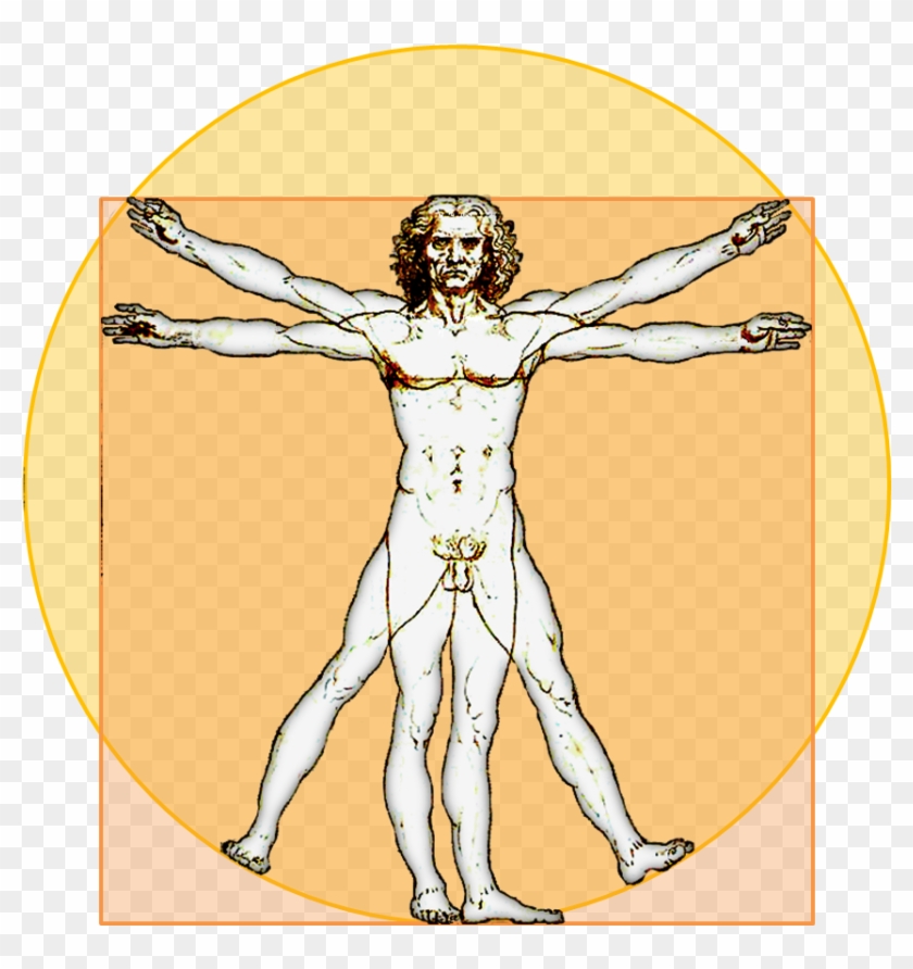 File - Vitruvian-icon - Leonardo Da Vinci Clipart