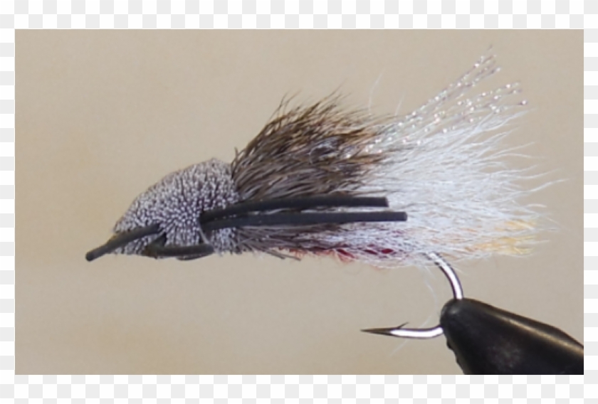 Tarantula - Red - Insect Clipart