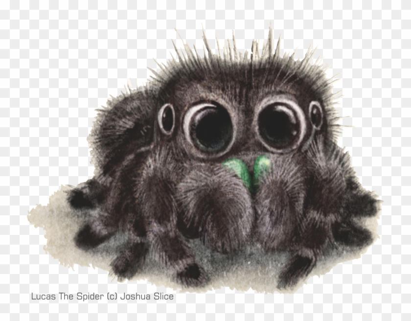 Informasi Seputar Tarantula Dan Kalajengking - Cute Spiders To Draw Clipart #1541266