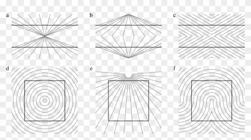 Examples Of Geometric-optical Illusions - Line Art Clipart #1541485