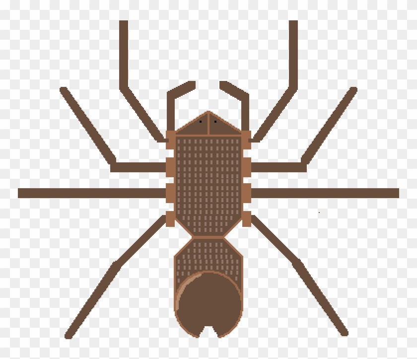 Tarantula State - Insect Clipart