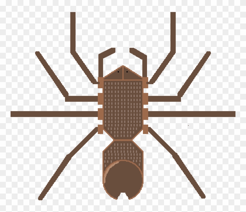Tarantula State - Insect Clipart #1541559