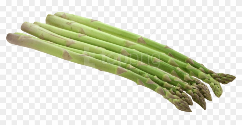 Free Png Asparagus Png Images Transparent - Clipart Asparagus Png #1541909