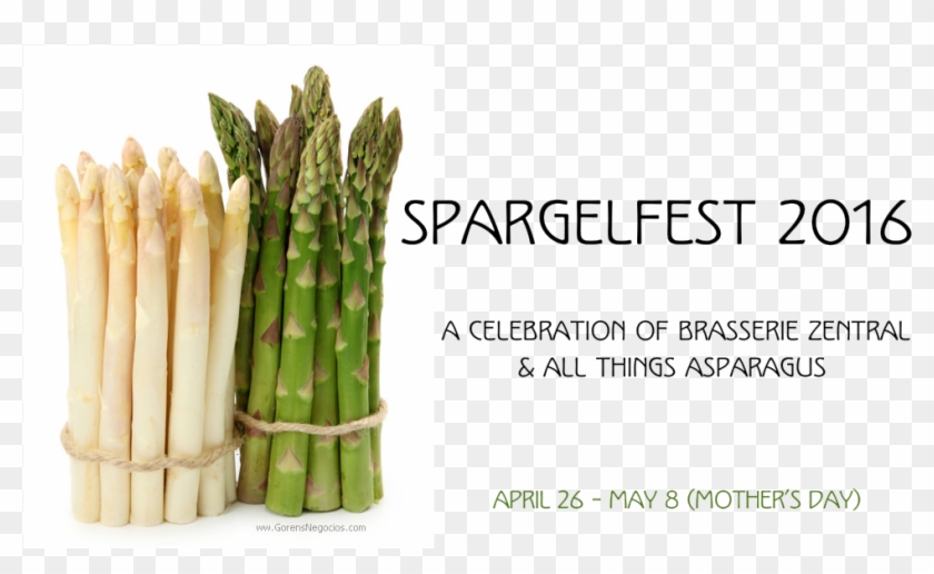 Asparagus Png Clipart #1542571