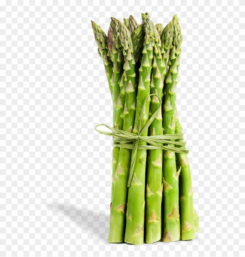 Asparagus - Stalks Stems And Shoots Clipart