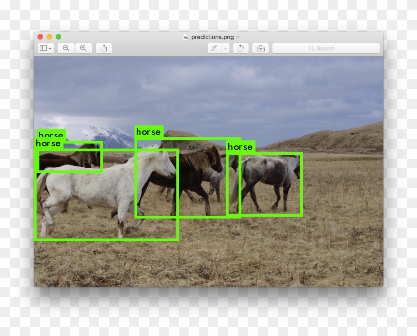 Enter An Image Path Like Data/horses To Have It Predict - Object Detection Clipart #1542894