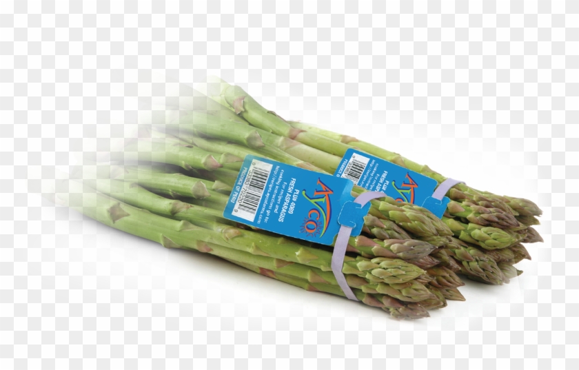 Begins With Healthy Eating - Asparagus Clipart
