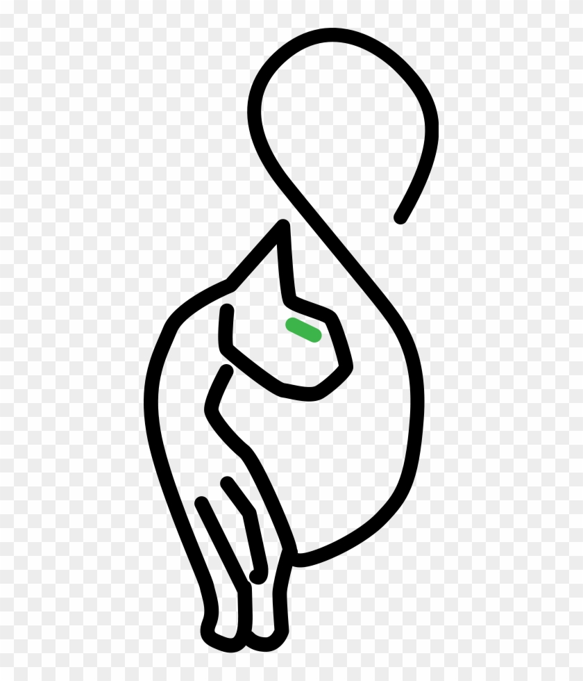 Kitty Cat Png Clipart #1543077