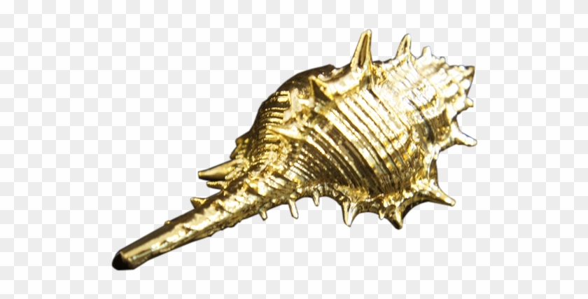 Gold Effect Paint - Gold Sea Shell Png Clipart