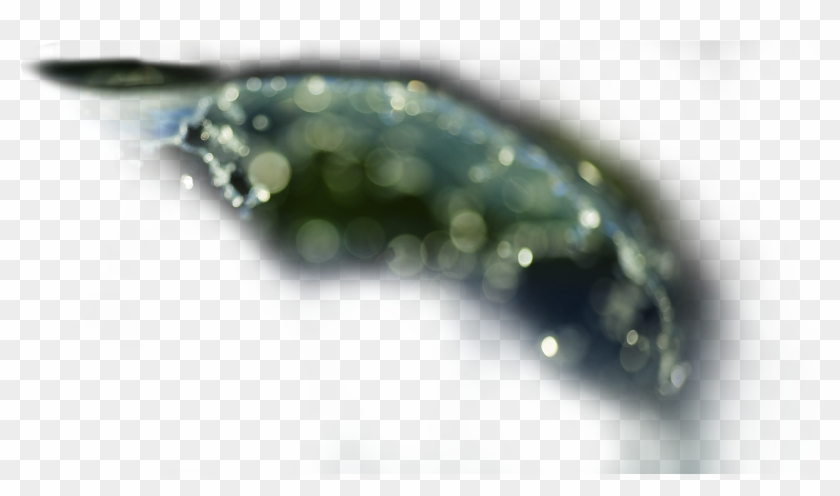 Z Wave Leak Sensor@2x - Macro Photography Clipart