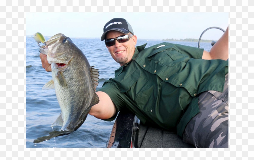 Keith Combs Post Spawn Bass Fishing - Pull Fish Out Of Water Clipart