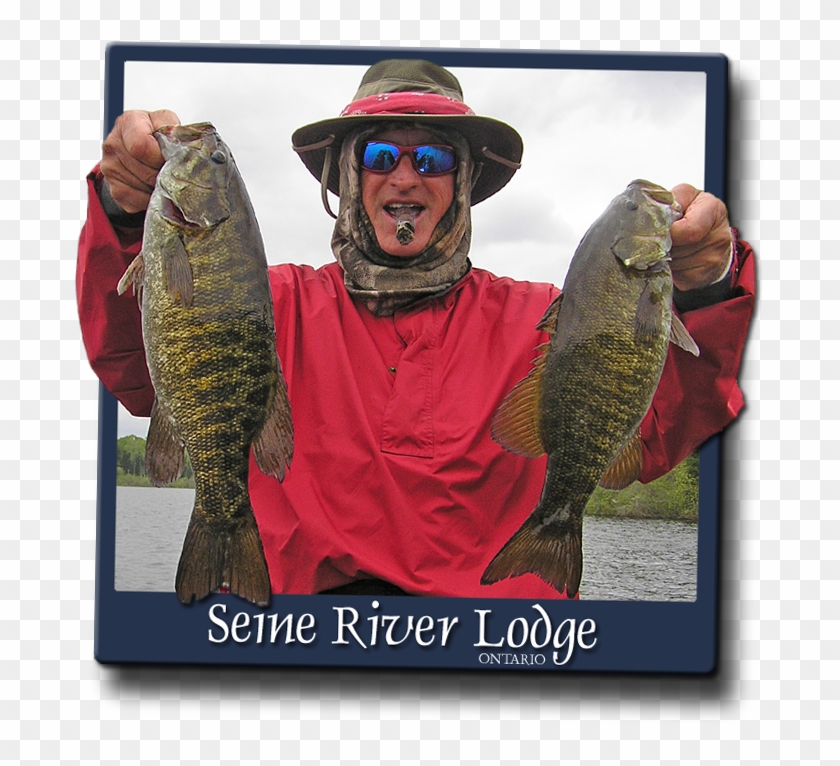 Take Advantage Of The Seine Chain For Some World Class - Bass Clipart #1544697