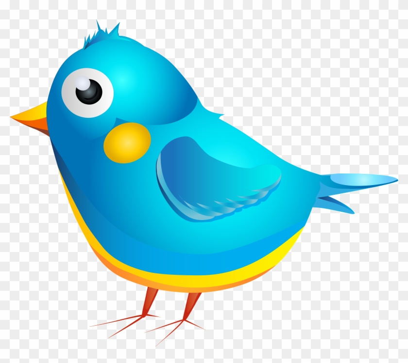 Blue Bird Cartoon Transparent Png Image Clipart