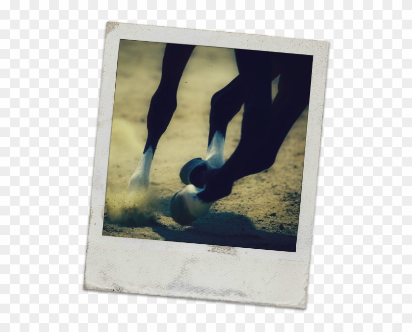 Poloroid Png - Horse Galloping Clipart #1545442
