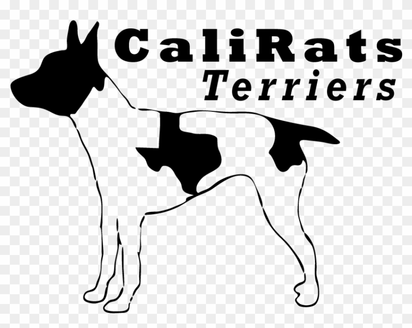 Dog Catches Something Clipart