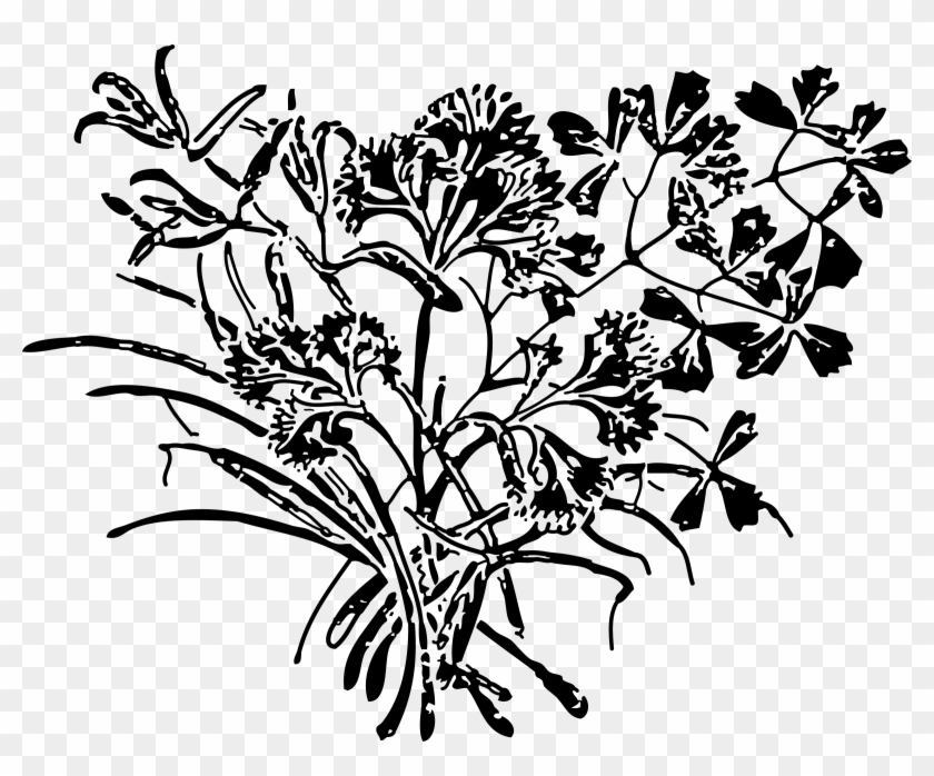 Herb Parsley Royal Fougeres Spice Watercolor Painting - Parsley Clipart