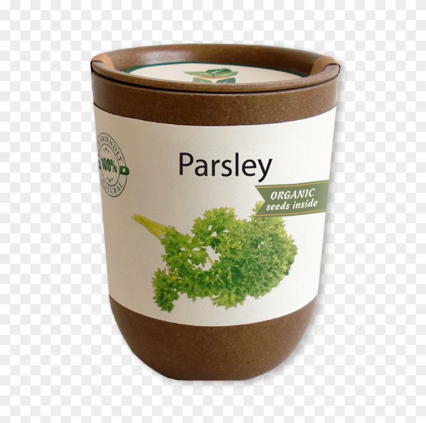 Coffee Clipart #1546736