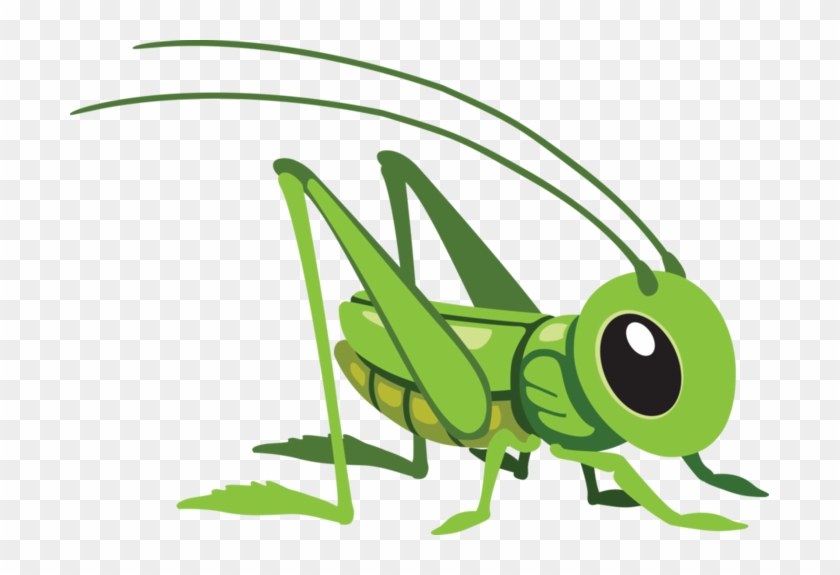 Cartoon Grasshopper Clipart
