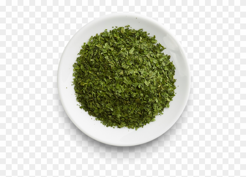 Parsley - Grass Clipart