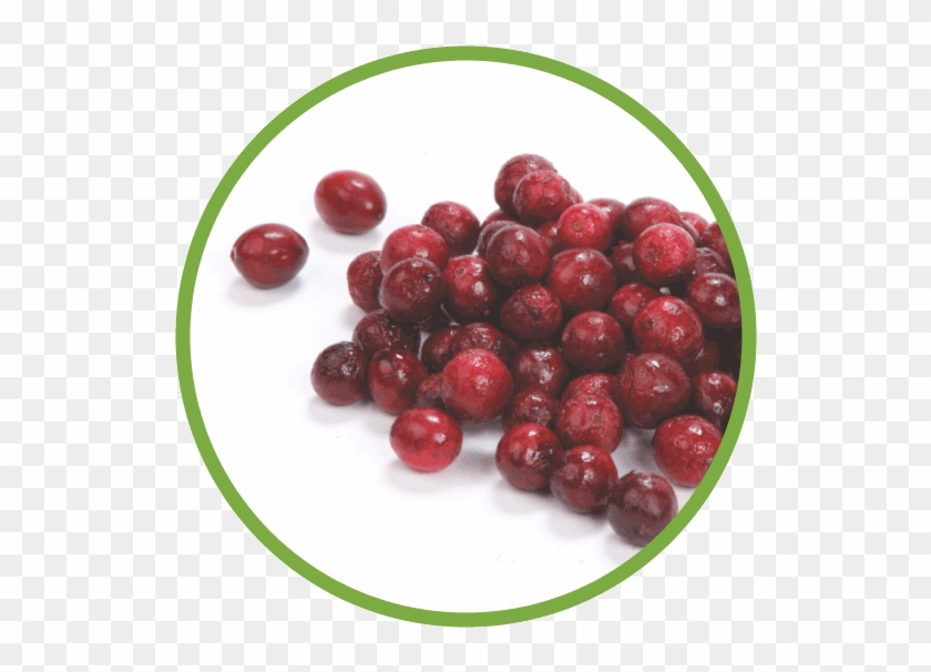 Cranberries A Native Fruit - Red Circle Fruit Clipart #1547255