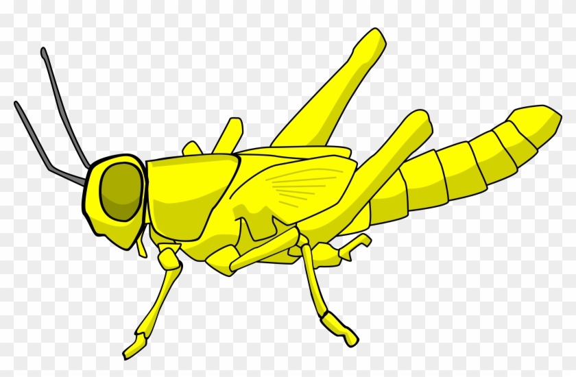 Clip Black And White Download Locust Big Image Png - Locust Cartoon Transparent Png #1547380
