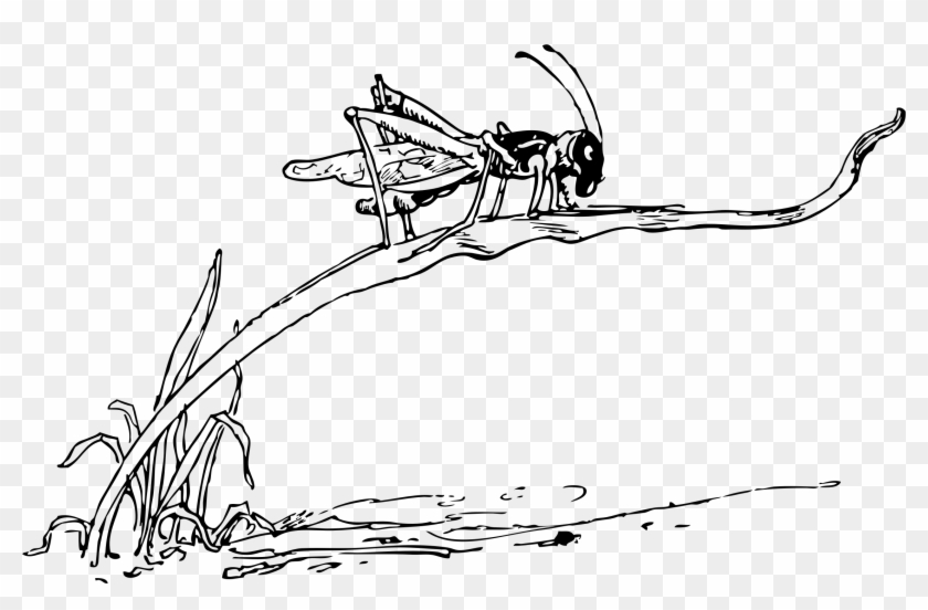 This Free Icons Png Design Of Grasshopper On Blade Clipart