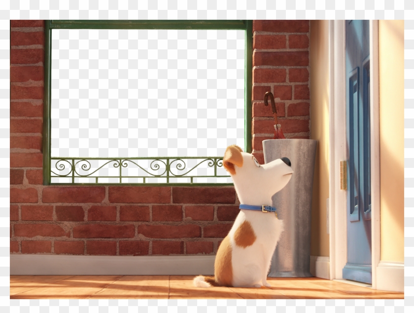 The Secret Life Of Pets Kids Transparent Png Frame - Secret Life Of Pet Hd Clipart #1547730