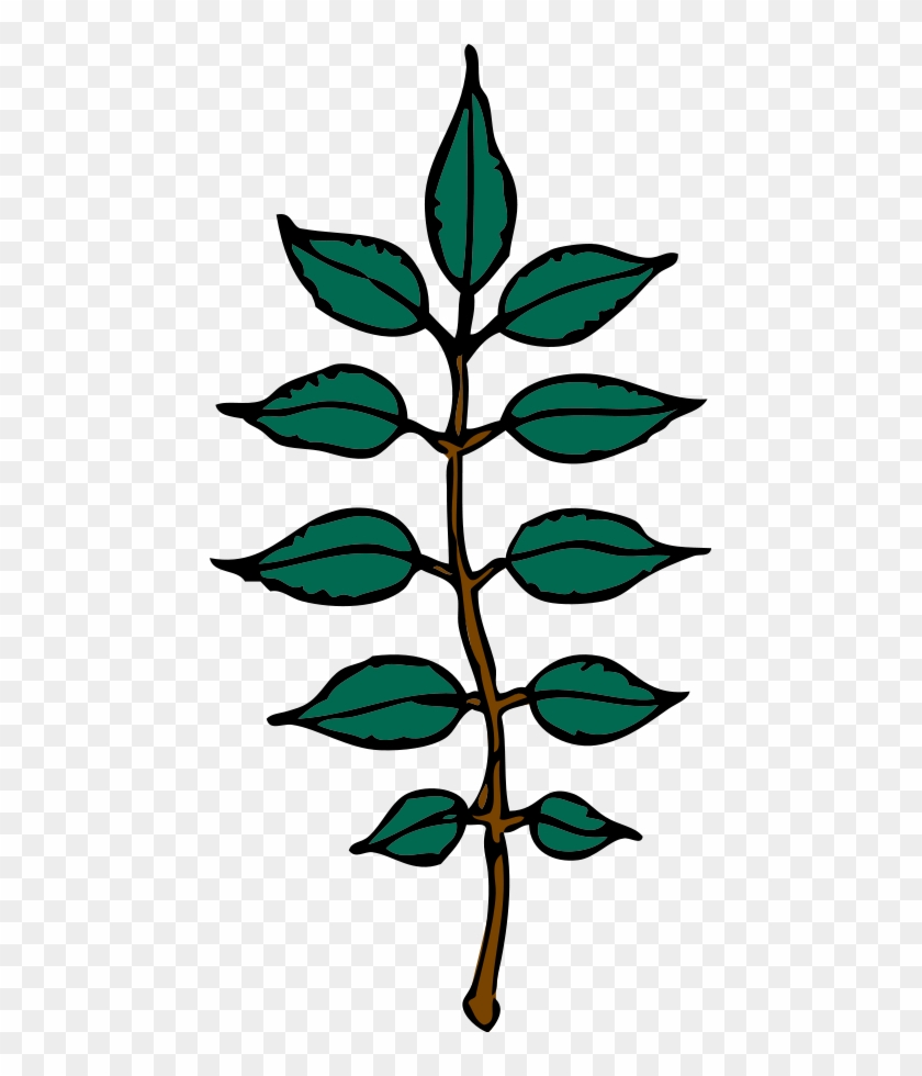 How To Set Use Ash Leaves Icon Png Clipart