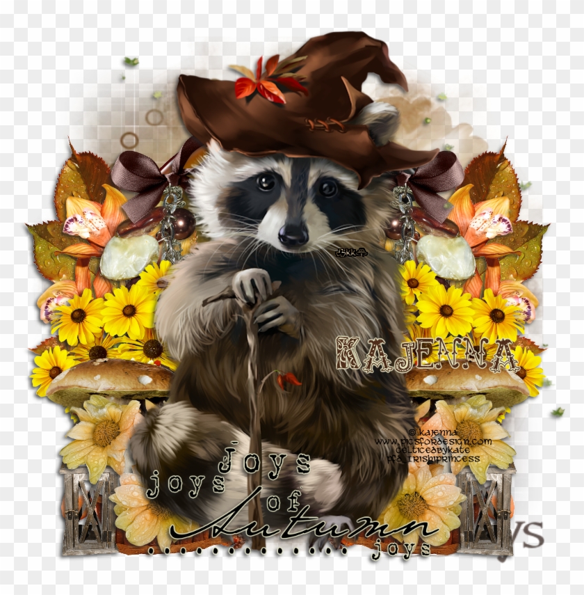 Racoon Ptu Tut , Png Download Clipart