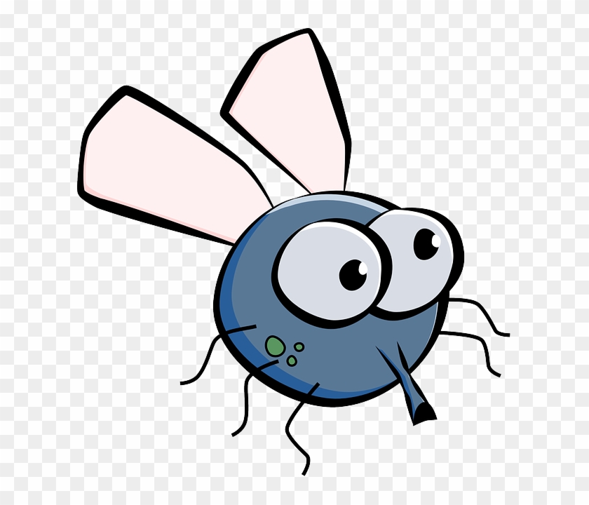 Housefly, House Fly, Fly, Insect, Wings, Eyes, Cartoon - Fly On The Wall Meme Clipart
