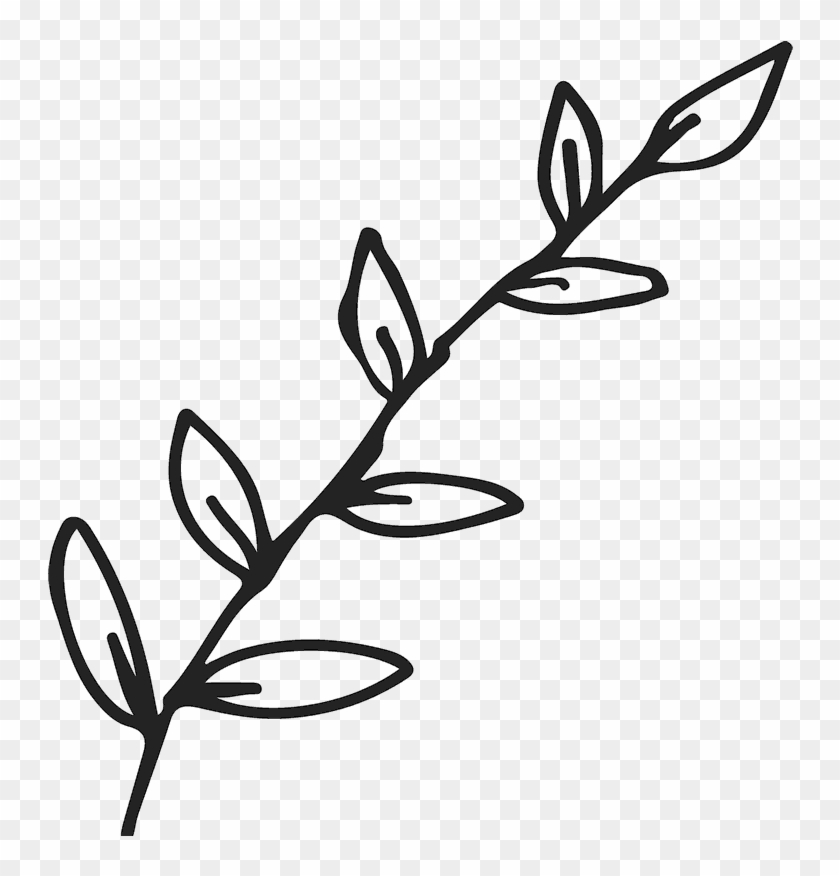 Leaf Outline Png - Leaf Branch Outline Png Clipart #1551386