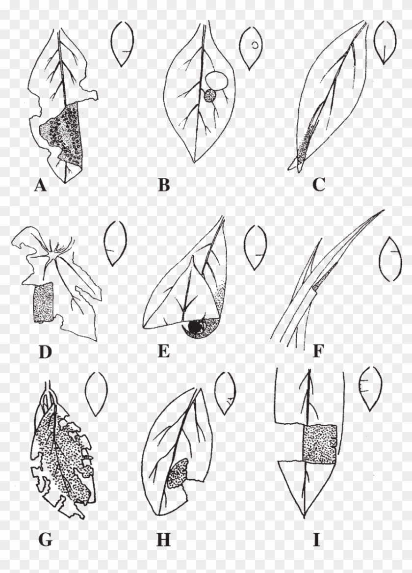 Group Ii, Group I, And Group Iii Shelters - Sketch Clipart
