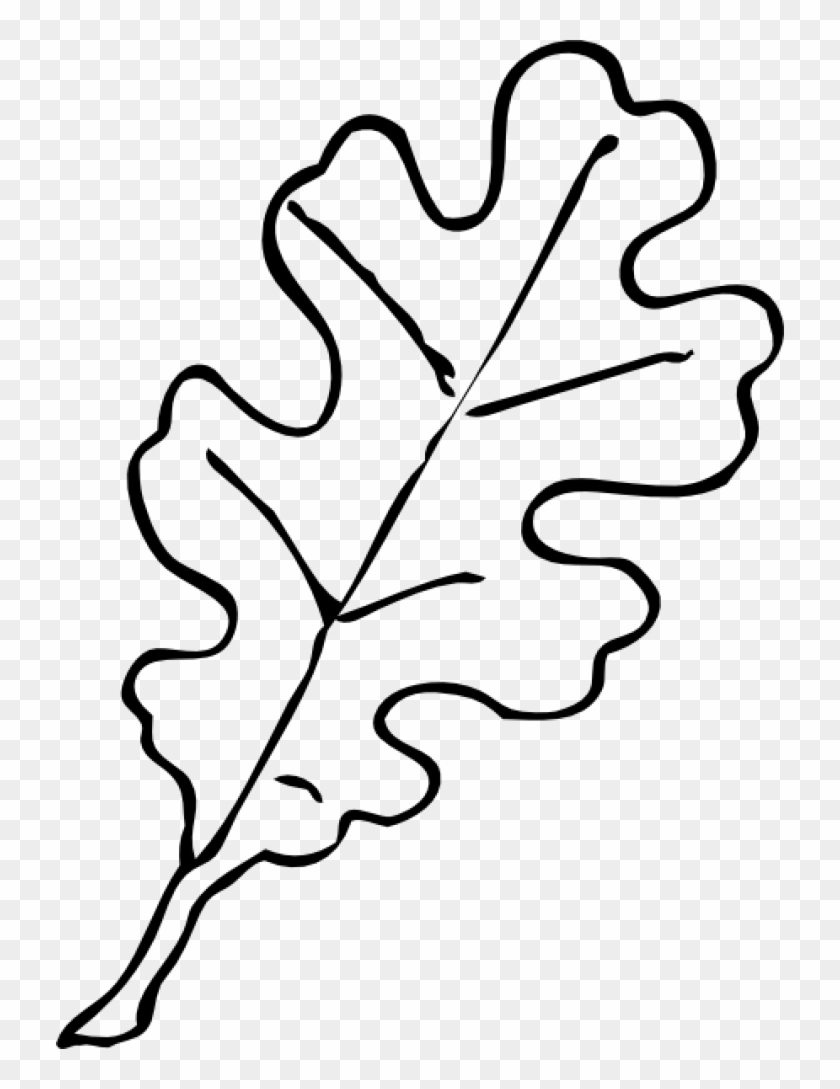 Permalink To Leaf Outline Frog Clipart - Oak Leaf Clipart Black And White - Png Download #1552028