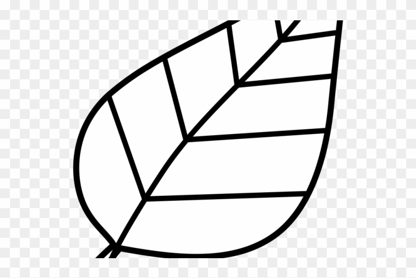Leaf Outline Cliparts - Leaf Clipart Images Black And White - Png Download