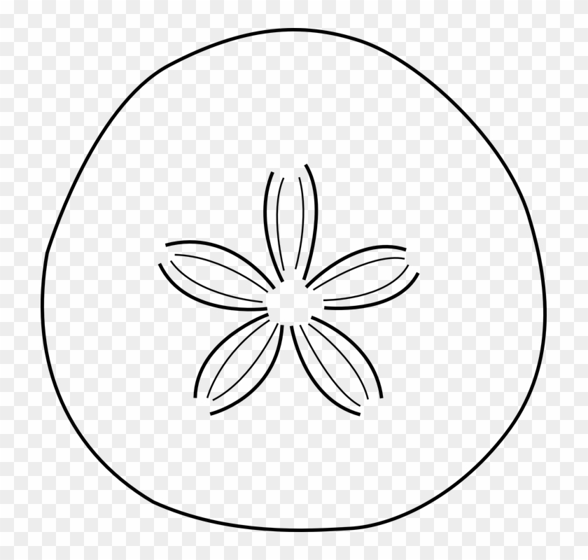 Fossil Clipart Leaf - Sand Dollar Black And White - Png Download #1552263