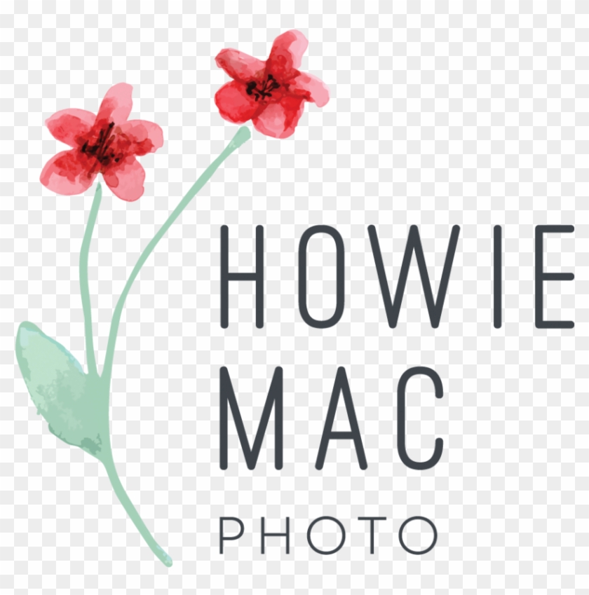 Little Mac Png Clipart