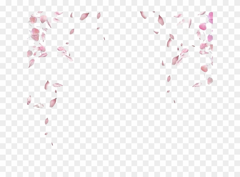 Falling Rose Petals Png Transparent Image - Rose Petals Falling Png Clipart #1554147