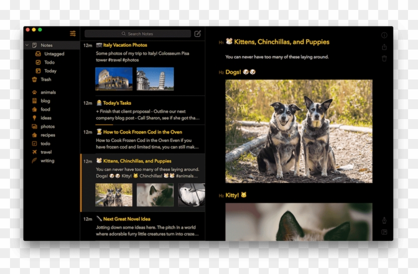 Bear 1 - 5 Hero - Taking App Clipart #1554335