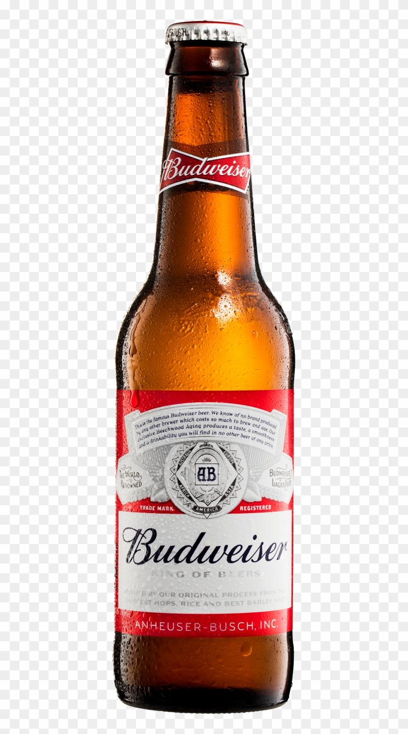 Budweiser Png - Budweiser Bottle Png Clipart #1554477