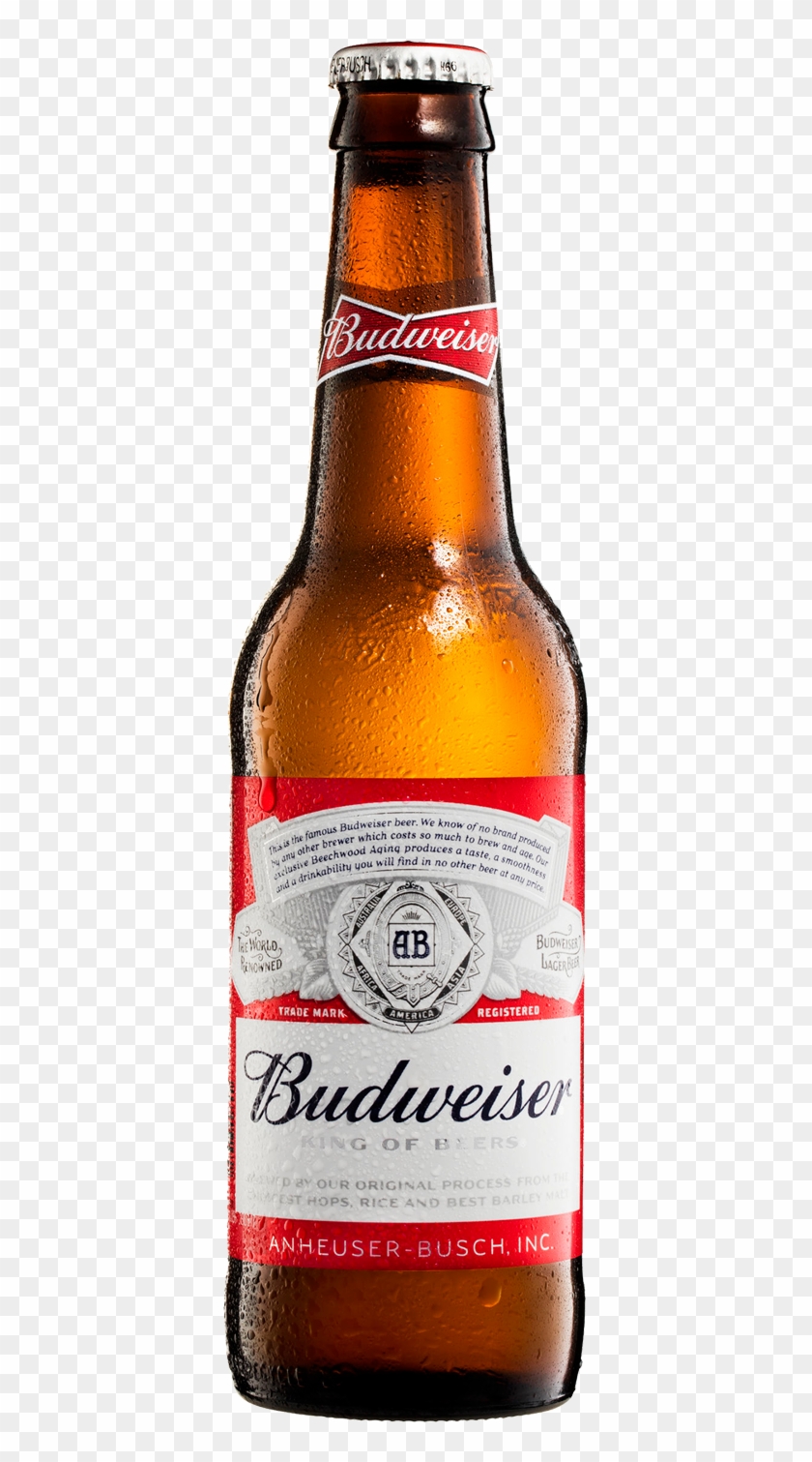 Budweiser Png - Budweiser Bottle Png Clipart