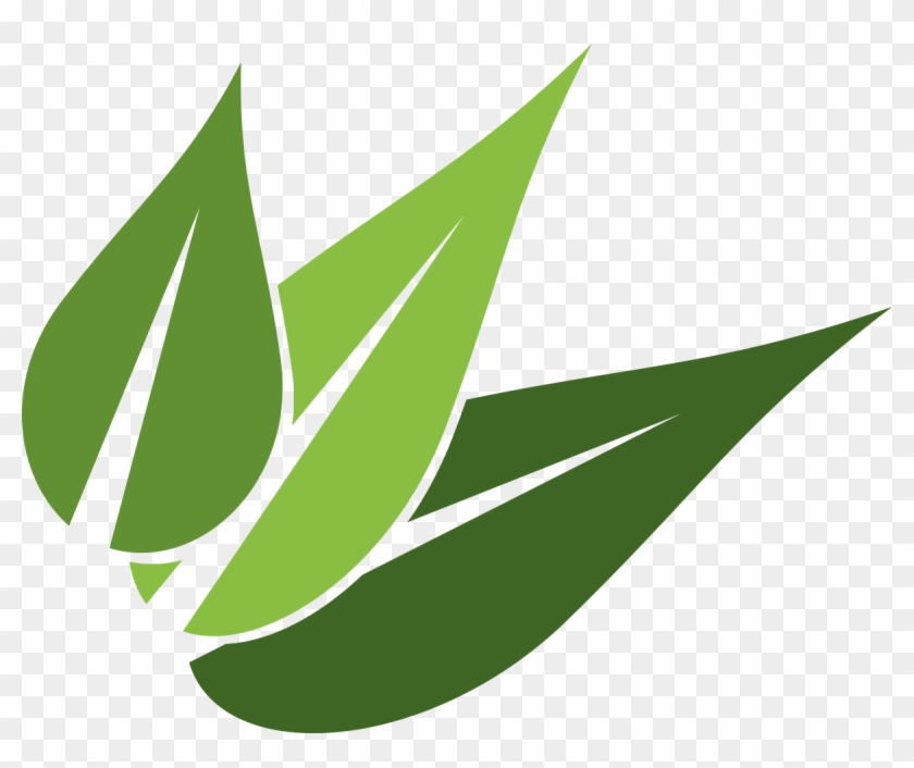 Leave A Reply Cancel Reply - Leaves Logo Png Clipart