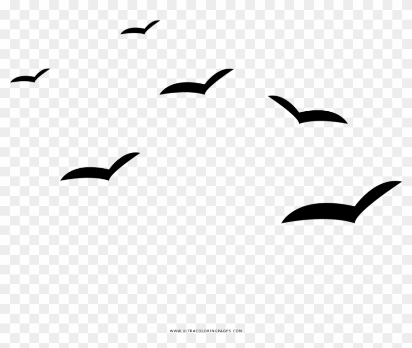 Seagulls Coloring Page - Gaivotas Desenho Png Clipart