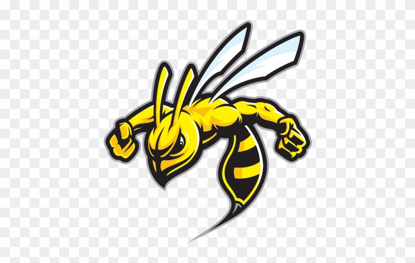 Hornet Clipart Wasp Sting - Hornet Club Srilanka - Png Download #1555856