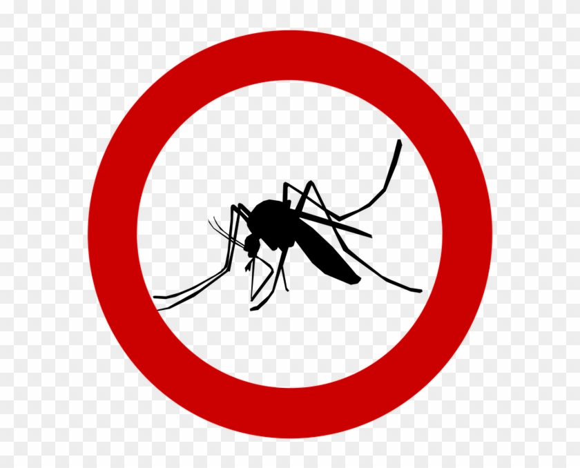 No Cats Allowed Meme Clipart #1556055