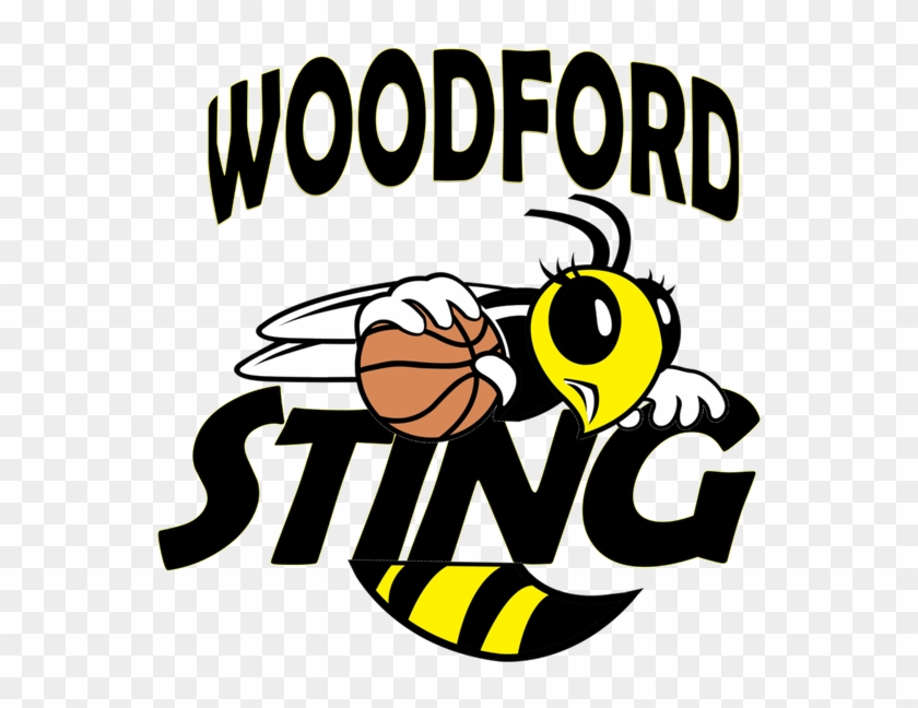 Woodford Sting - Charlotte Sting Clipart #1556091