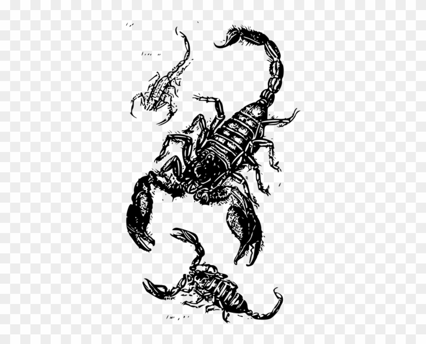 Scorpions Drawing Printing Scorpion Sting - Scorpions Drawing Clipart