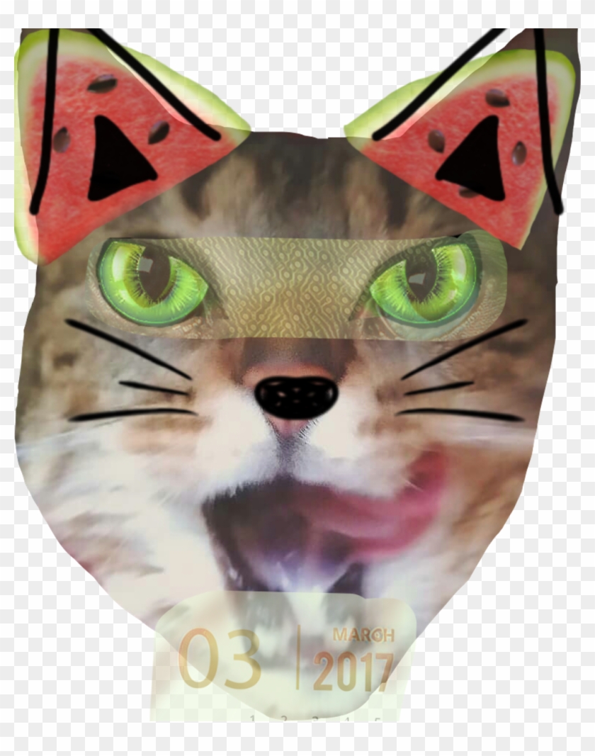 Cat Sticker - Cat Yawns Clipart