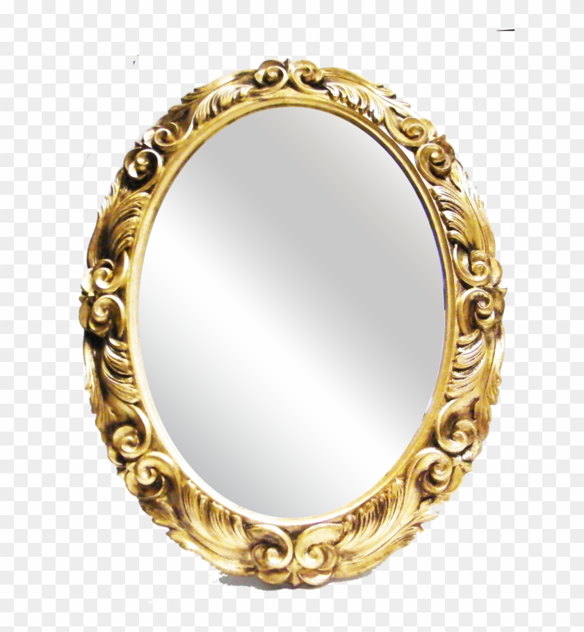 Circle Clipart #1557484