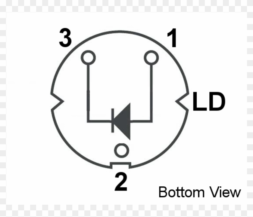 Circle Clipart #1557706