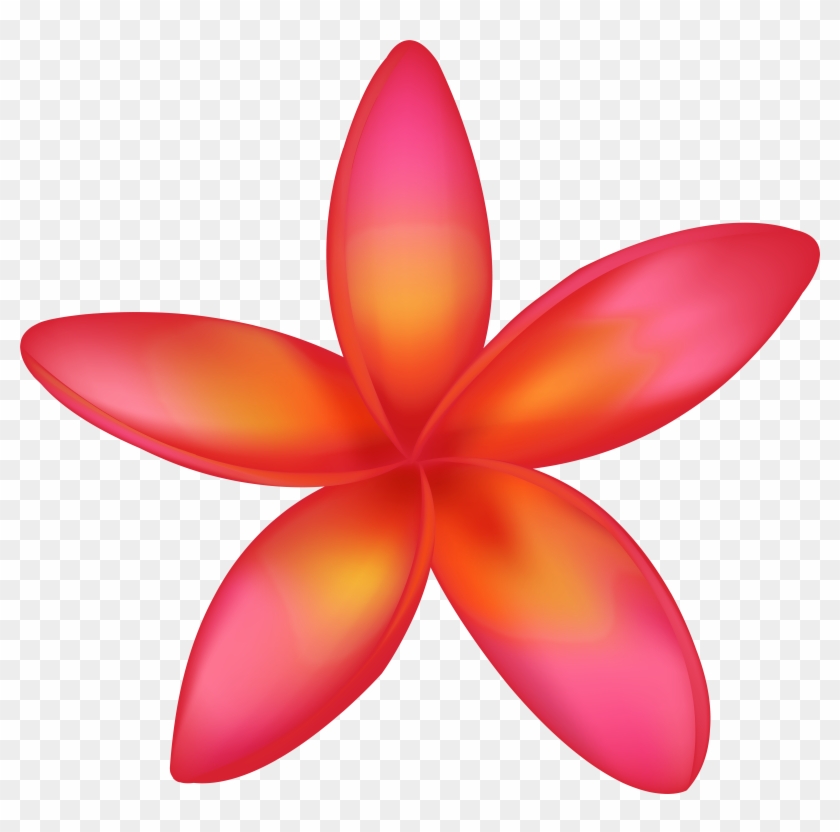 Exotic Flower Png Png - Clip Art Transparent Png #1558980